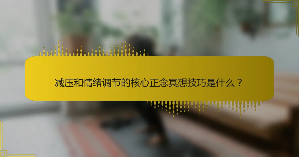 减压和情绪调节的核心正念冥想技巧是什么？