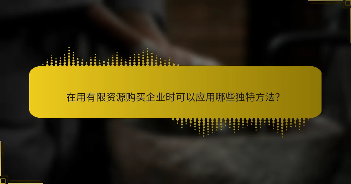 在用有限资源购买企业时可以应用哪些独特方法？
